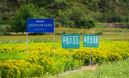 �������ǲ�(�й���)�ٷ���վ